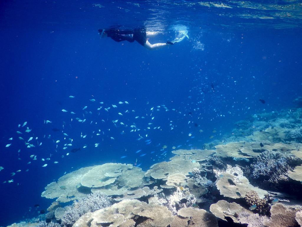 Hotel Dhivehi Experience Dhigurah  Zewnętrze zdjęcie